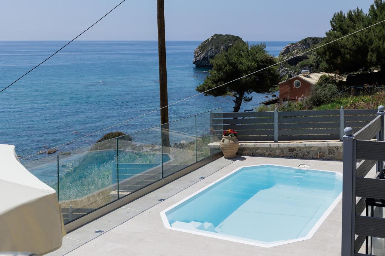 Villa Renata & Villa Filippos With Private Plunge Pool By Konnect Agios Gordios  Exterior foto